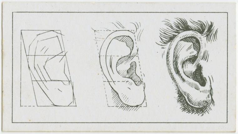 REVIEW: Lady Science